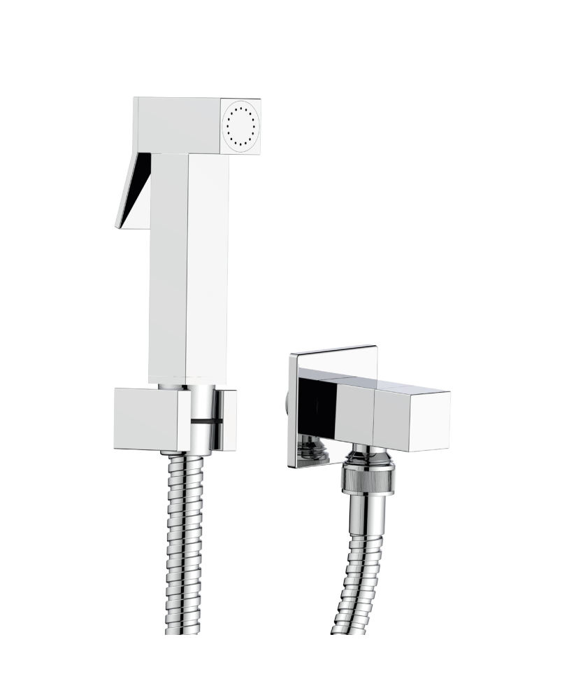 Kit douchette wc grohe