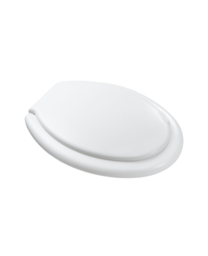 Toilet seat, thermosetting