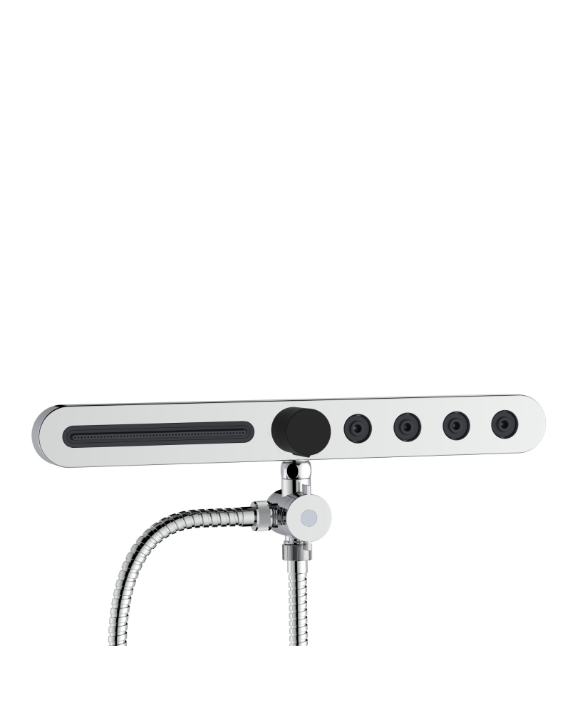 2 in 1 shower accessory
