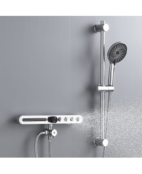 2 in 1 shower accessory