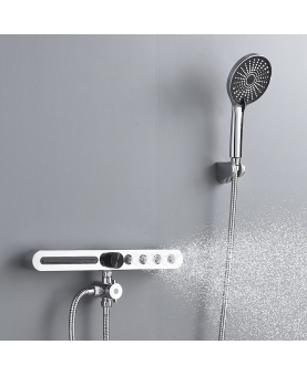 2 in 1 shower accessory