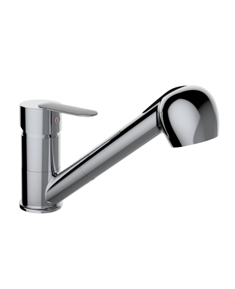 Sink mixer swivel spout with pull-out hand shower Ray