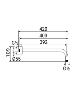 Shower arm Idealrain