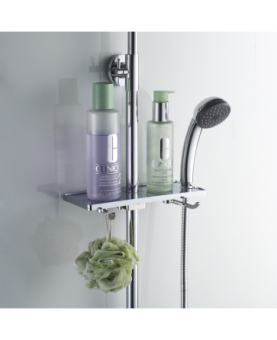 Shelf for shower rails with hooks